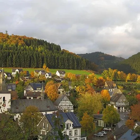 In Der Naehe Des Skigebietes *