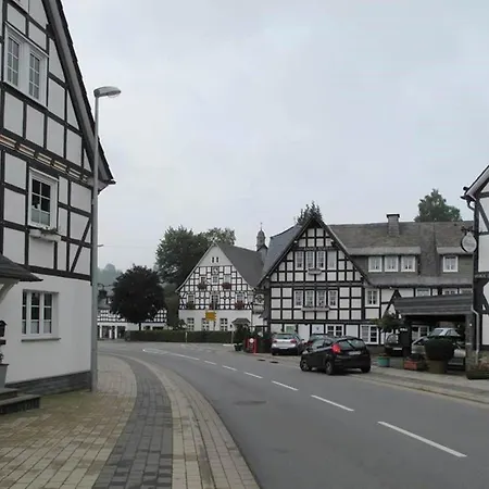 Appartement In Der Naehe Des Skigebietes *